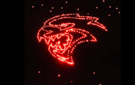 Custom Logo